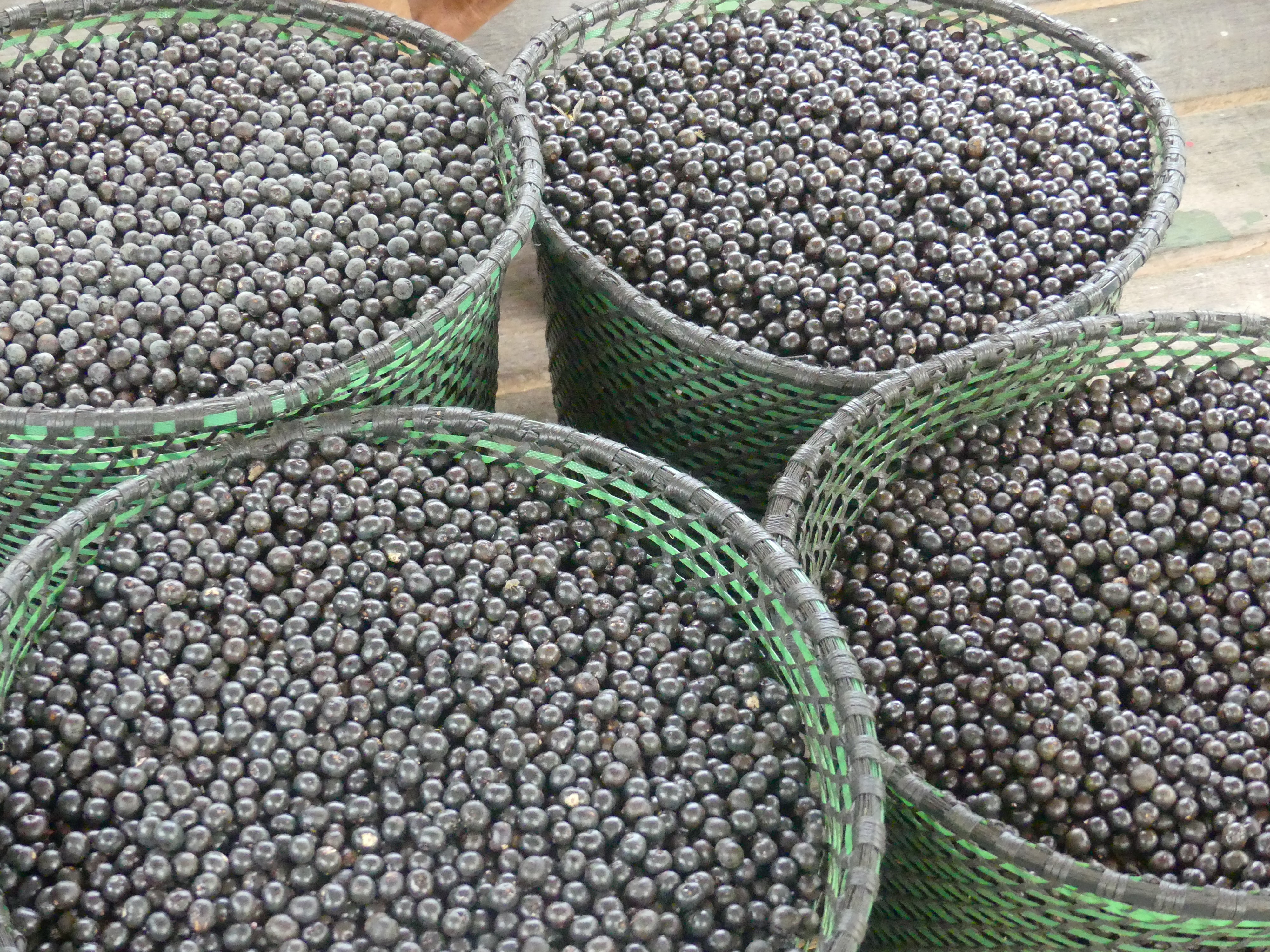 Paniers d'açaï au Brésil